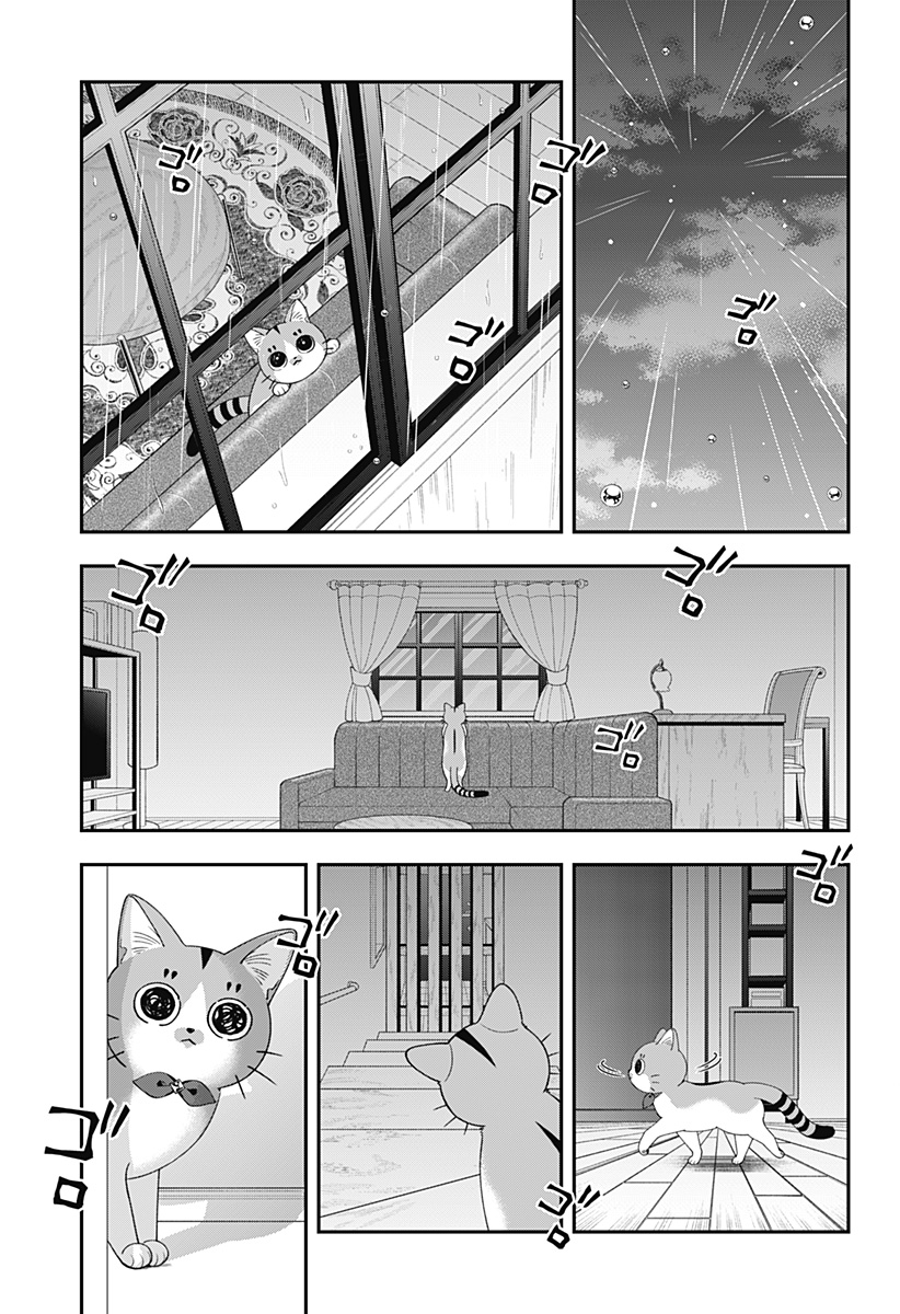 Miyaou Tarou ga Neko wo Kau Nante - Chapter 12 - Page 11